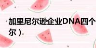 加里尼爾遜企業DNA四個基本要素(加里尼爾)