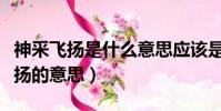 神采飛揚是什么意思應該是神采飛揚(神采飛揚的意思)