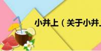 小井上(關于小井上簡介)