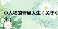 小人物的普通人生(關于小人物的普通人生簡介)