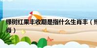 綠樹紅果豐收期是指什么生肖豐(綠樹紅果豐收期是什么生肖)