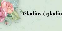 Gladius(gladius設置)