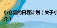 小倉鼠的日程計劃(關于小倉鼠的日程計劃簡介)
