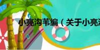 小亮溝葦編(關于小亮溝葦編簡介)