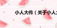小人大傳(關于小人大傳簡介)