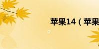 蘋果14(蘋果1)