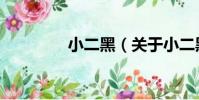 小二黑(關于小二黑簡介)