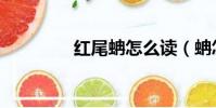 紅尾蚺怎么讀(蚺怎么讀)
