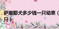 薩摩耶犬多少錢一只幼崽(薩摩耶犬多少錢一只)