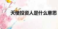 天使投資人是什么意思(天使投資)