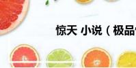 驚天 小說(極品驚天)