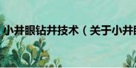 小井眼鉆井技術(關于小井眼鉆井技術簡介)