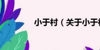小于村(關于小于村簡介)