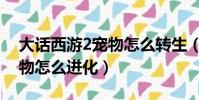 大話西游2寵物怎么轉生(西游大戰僵尸2寵物怎么進化)