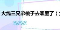 火線三兄弟桃子去哪里了(火線三兄弟桃子)