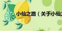 小仙之路(關于小仙之路簡介)