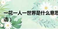 一花一人一世界是什么意思(一人一花是什么語)