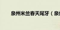 泉州米蘭春天尾牙(泉州米蘭春天)