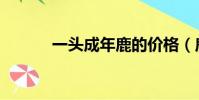 一頭成年鹿的價格(鹿的價格)