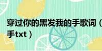 穿過你的黑發我的手歌詞(穿過你的黑發我的手txt)