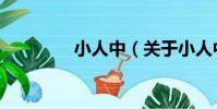 小人中(關于小人中簡介)