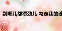 到哪兒都得勁兒 勾走我的魂 歌詞(到哪兒)