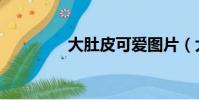 大肚皮可愛圖片(大肚皮)