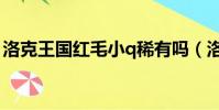 洛克王國紅毛小q稀有嗎(洛克王國紅毛小q)