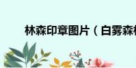 林森印章圖片(白霧森林高級印章)