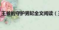王爺的守護男妃全文閱讀(王爺的守護男妃)