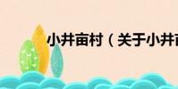 小井畝村(關于小井畝村簡介)