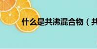 什么是共沸混合物(共沸混合物)