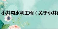 小井溝水利工程(關于小井溝水利工程簡介)