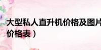 大型私人直升機價格及圖片(國產私人直升機價格表)