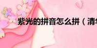 紫光的拼音怎么拼(清華紫光拼音)