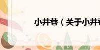 小井巷(關于小井巷簡介)
