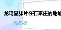 龍瑪顯脈片在石家莊的地址(龍瑪顯脈片)