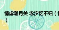 情虐瀚月關 念汐憶不歸(情虐瀚月關txt新浪)
