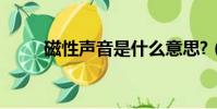 磁性聲音是什么意思?(磁性聲音)