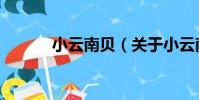 小云南貝(關于小云南貝簡介)