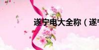 遂寧電大全稱(遂寧電大)