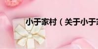 小于家村(關于小于家村簡介)