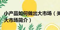 小產品如何做出大市場(關于小產品如何做出大市場簡介)