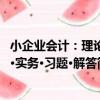 小企業會計：理論·實務·習題·解答（關于小企業會計：理論·實務·習題·解答簡介）