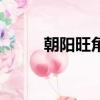 朝陽旺角屬于哪個鄉（朝陽旺角）