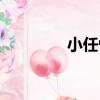 小任性（關于小任性簡介）
