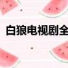 白狼電視劇全集30集劇情介紹黑狼死了么??