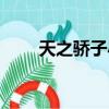 天之驕子小區郵編（天之驕子小區）