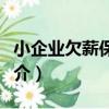 小企業欠薪保障金（關于小企業欠薪保障金簡介）