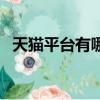 天貓平臺有哪幾種類型的店鋪（天貓平臺）